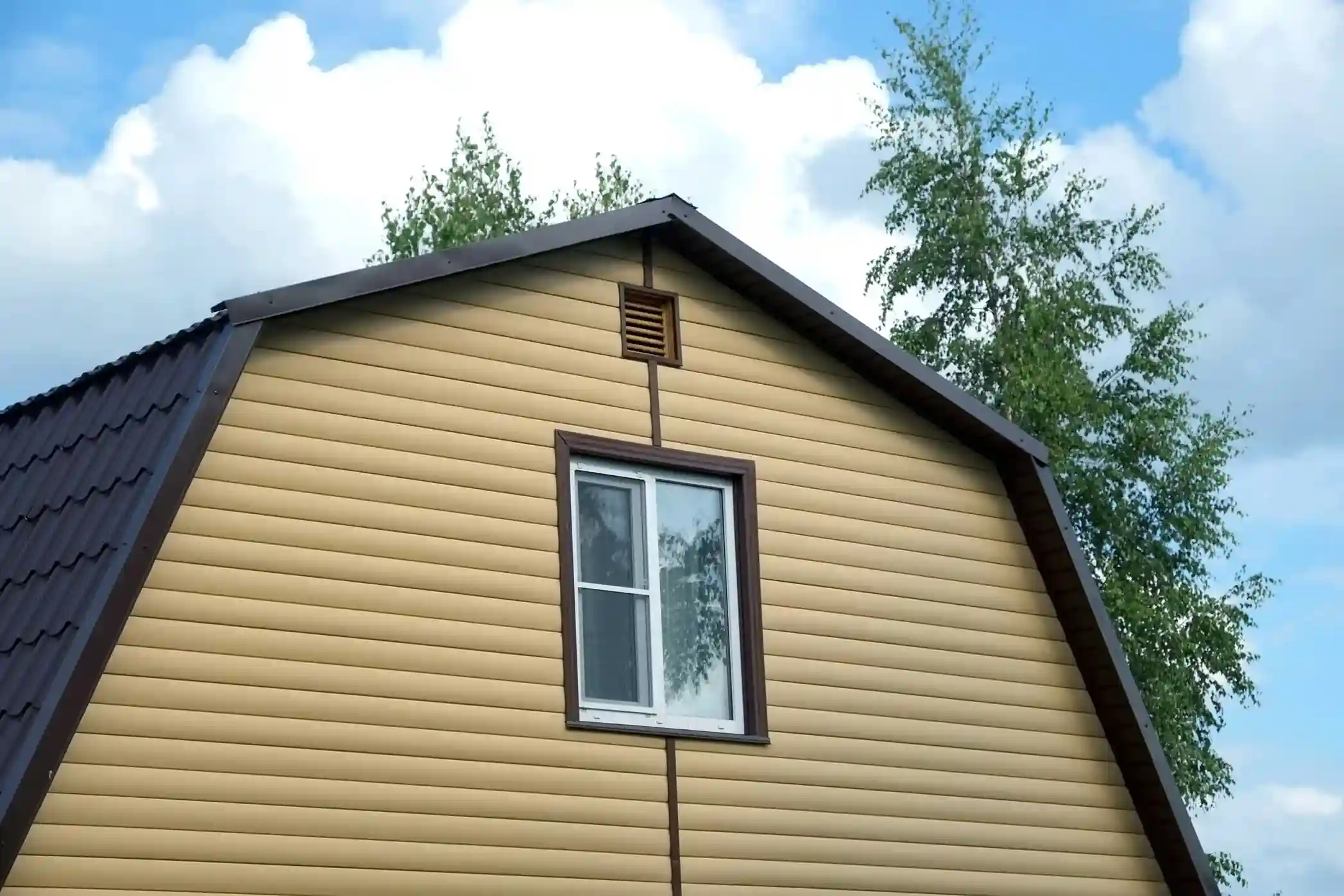 Professional Siding Service